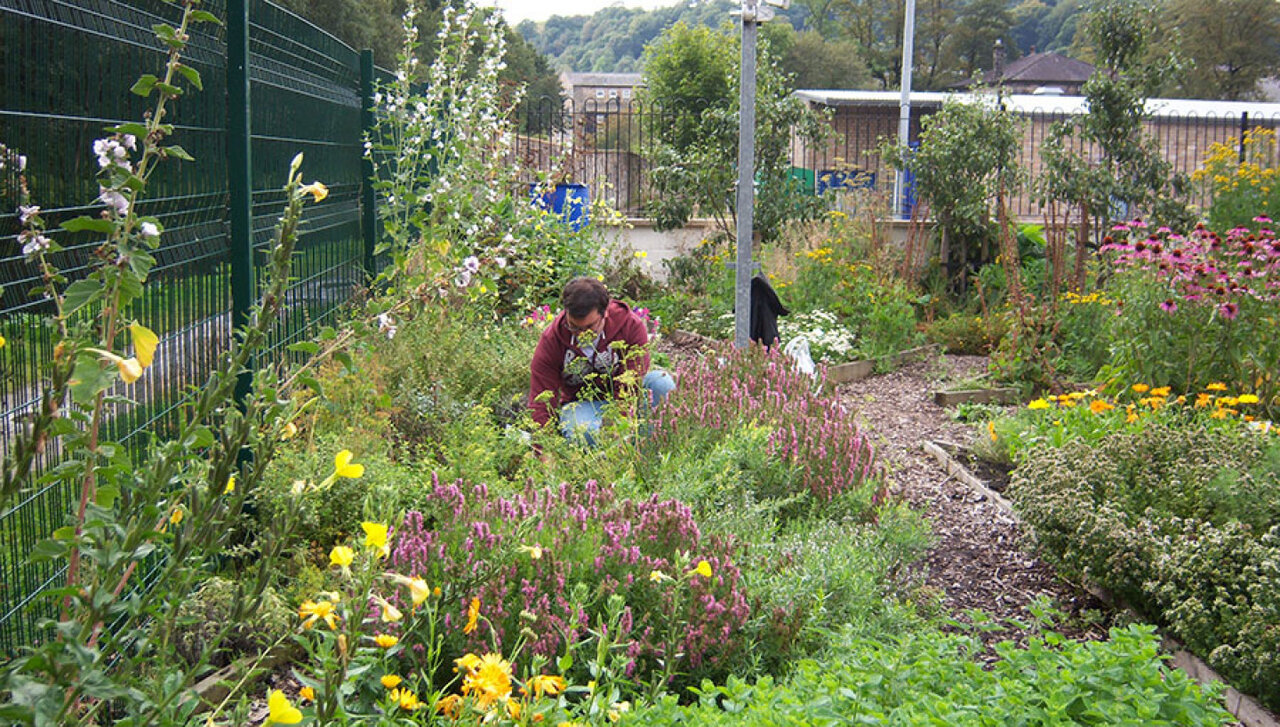 حذف کاشیها وسنگفرشها؛ راهکار برگزیده هلند برای سبزسازی خیابانها