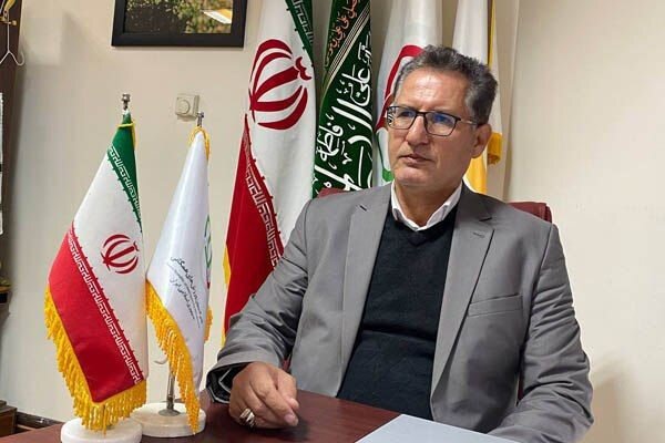 ورزشهای همگانی؛ راهی برای سلامت و همبستگی اجتماعی