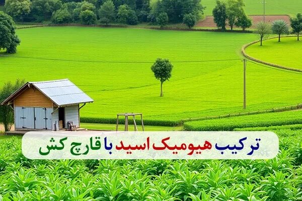 ترکیب هیومیک اسید با قارچ کش ترکیب هیومیک اسید با قارچ کش