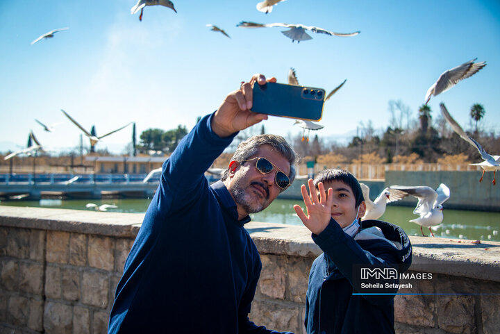 پرندگان مهاجر میهمان این روزهای شیراز