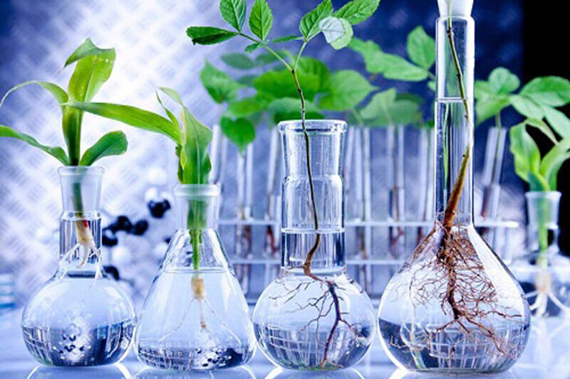 از بومیسازی دستگاه ثبت نقشه مغزی تا ساخت دستگاه جمعکننده آلایندههای زیستی