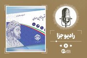 استفاده از بیمه دیگران در مسائل درمانی و غیردرمانی چه حکمی دارد؟