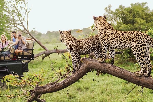 زیبایی های آفریقای جنوبی