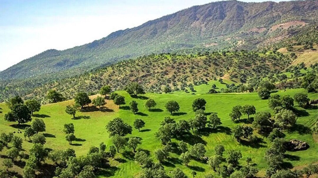 از بازگشت ۶ حلقه چاه به مدار تا افزایش ۵۸ درصدی کشف سلاح غیرمجاز