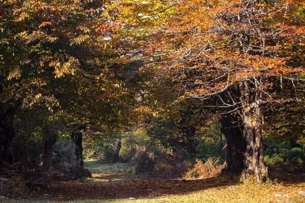 تورهای نوروزی برای علاقه‌مندان به ماجراجویی و طبیعت‌گردی