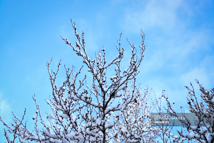 رخت سپید برف بر تن همدان