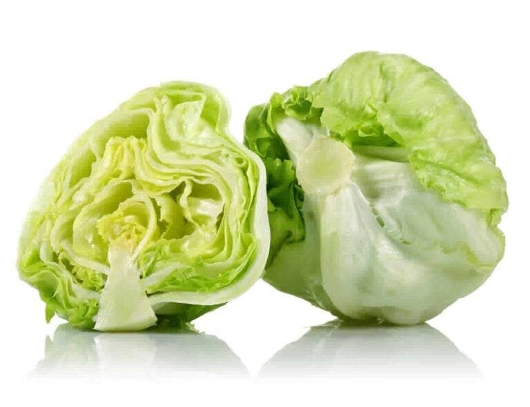 Iceberg Lettuce