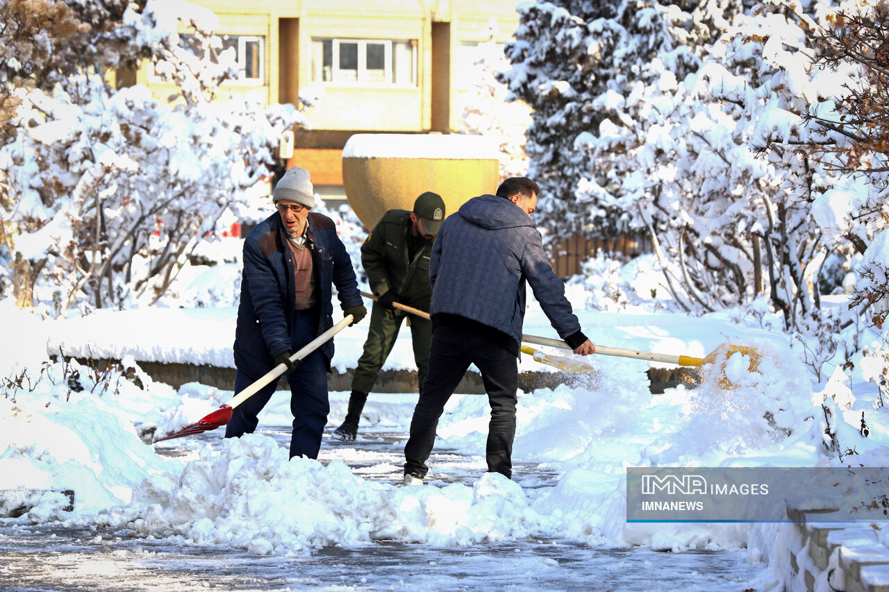 بارش باران و برف در استان های کشور بهمن ۱۴۰۳ + فیلم
