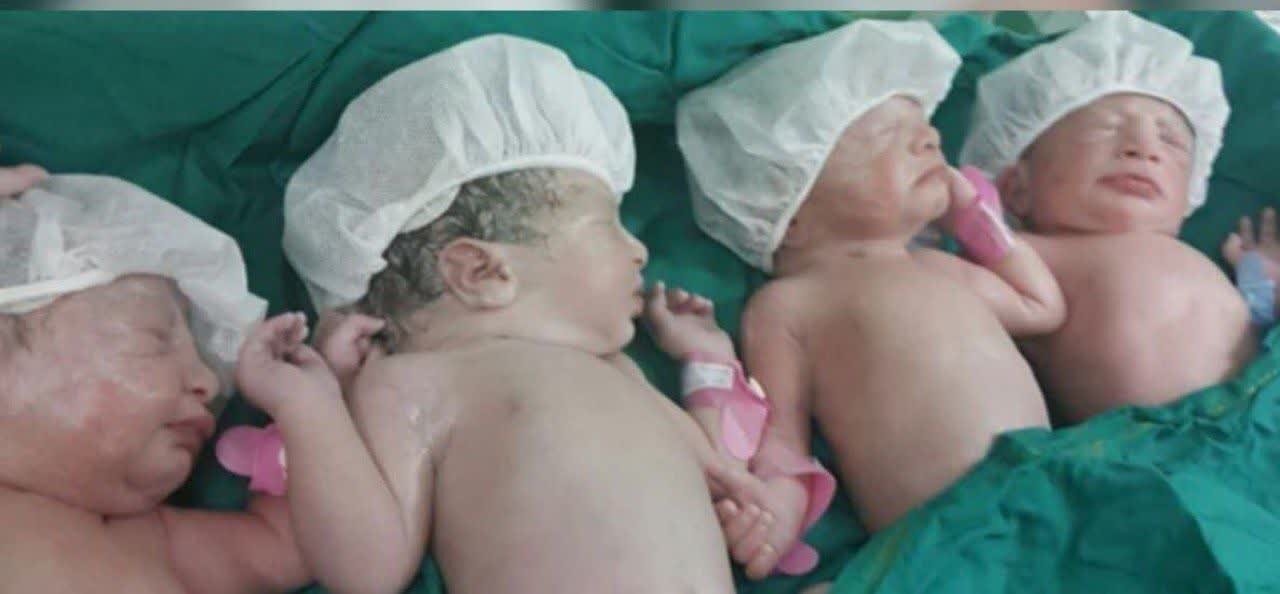 از موفقیتهای ایران در خودکفایی گندم و جو تا کلنگزنی نخستین دهکده لجستیک کشور