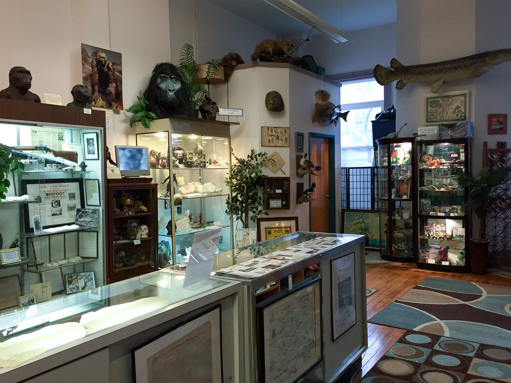 عجیبترین موزههای جهان