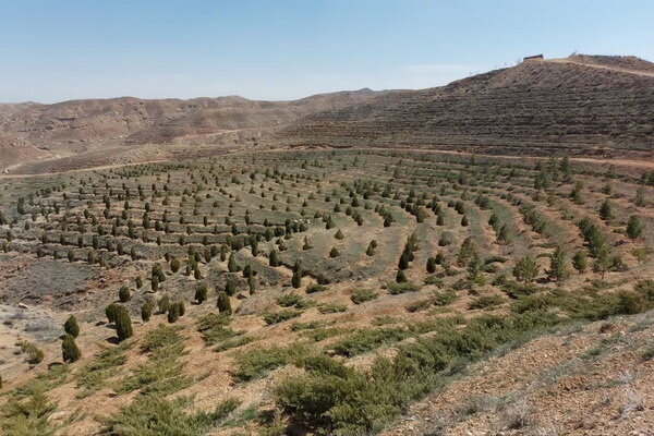 تداوم اجرای طرح تکمیل کمربند سبز جنوبی تبریز با اعتبار ۱۵ میلیارد تومان
