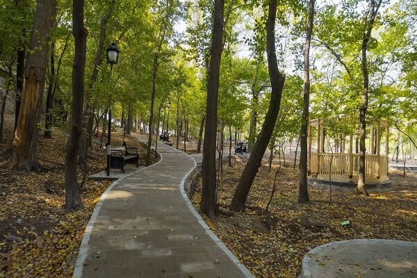 راهکار فلورانس برای مقابله با گرما چیست؟