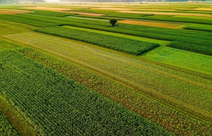 رشد ۳۷ درصدی یکپارچهسازی اراضی کشاورزی/ بازگشت ۱۳۲۴ هکتار اراضی کشاورزی به چرخه تولید