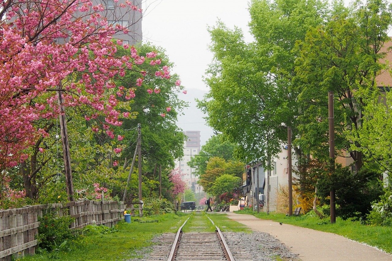 اقدامات ژاپن برای مدیریت گردشگری انبوه