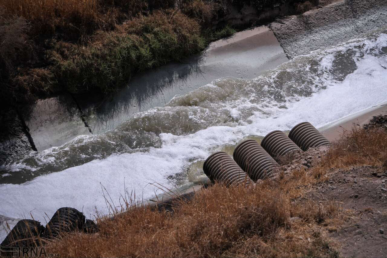 از داروی نویدبخش برای درمان آلزایمر تا تولید کاغذ از سنگ