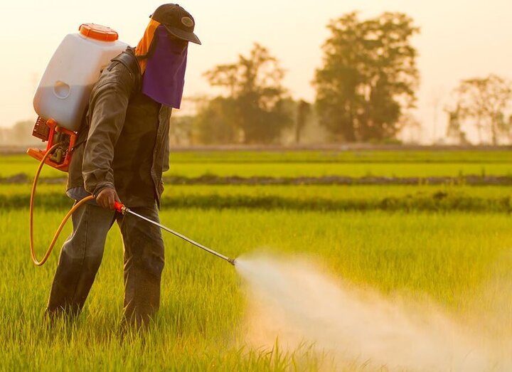 از ورود موفق هوش مصنوعی برای افزایش بهرهوری در دامداری تا درخشش دانشجویان در تکواندو 3 ظرفیت تولید ۴۰۰ هزار تن آفتکش در کشور وجود دارد