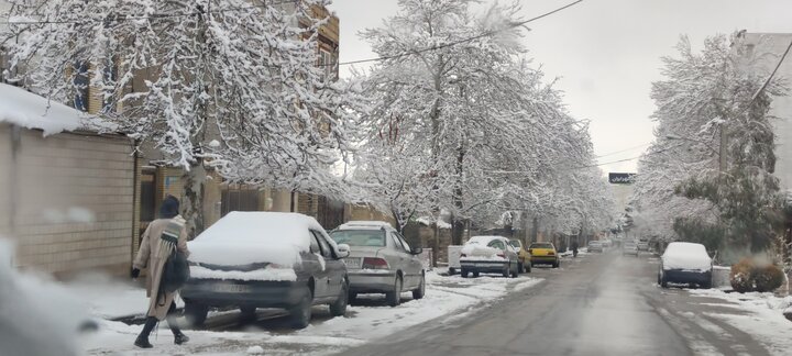 برف زیبایی خود را در پایتخت طبیعت ایران به رخ کشید+ عکس