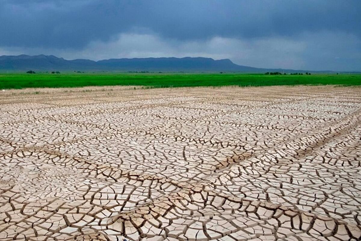 الگوی کشت؛ راه نجات دشت زرخیز از فرونشست