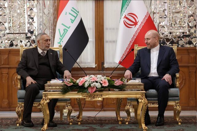 دیدار رئیس پارلمان عراق و رئیس مجلس ایران