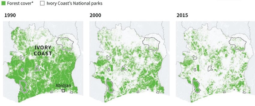 جنگلهازدایی؛ تهدید آینده بشر