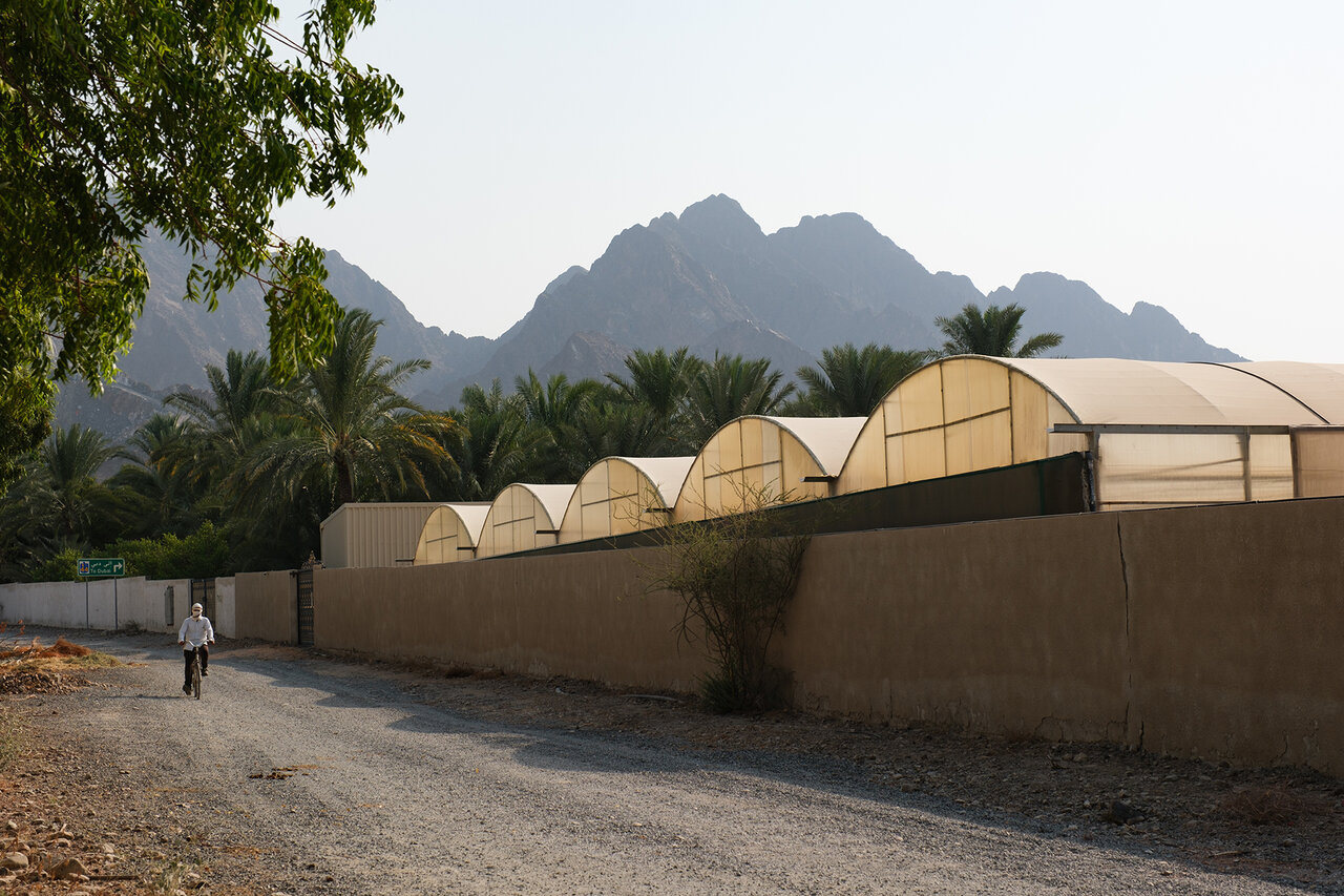 امنیت غذایی؛ موضوع غرفه ملی امارات در رویداد معماری ونیز