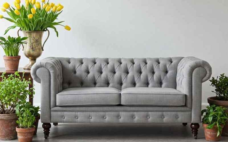 مبل چستر چیست؟ راهنمای کامل انتخاب و خرید