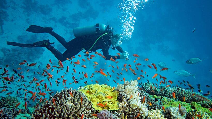 راهنمای سفر هوایی از شیراز به کیش