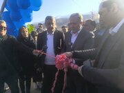 افتتاح گلخانه تولید بلوبری با حضور وزیر کشاورزی در خرم‌آباد