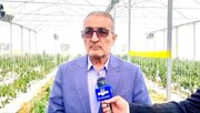 ظرفیت شهرک‌های گلخانه‌ای در بهمئی به ۶۰ هکتار افزایش می‌یابد