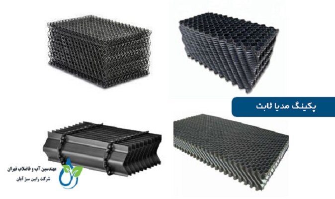 مزایای پکینگ مدیا رابین سبز آبان مزایای پکینگ مدیا رابین سبز آبان