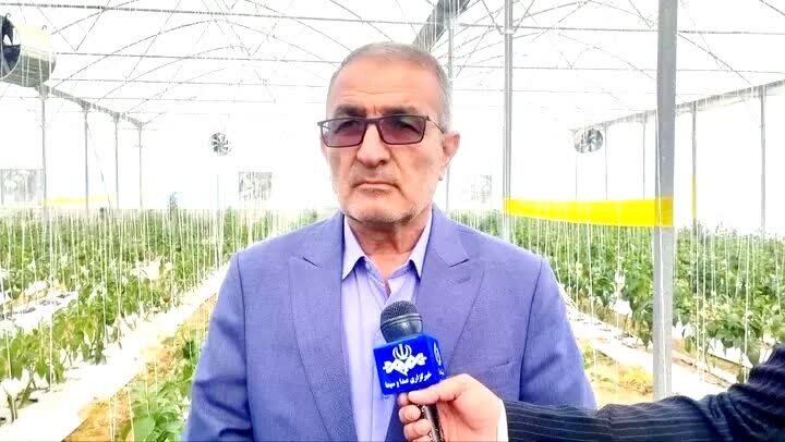 ظرفیت شهرک‌های گلخانه‌ای در بهمئی به ۶۰ هکتار افزایش می‌یابد