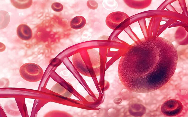 زندگی انسان تحت تاثیر کمخونی و فقر آهن