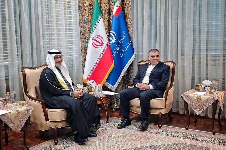 سیاست‌زدایی از بازار نفت برای امنیت انرژی حیاتی است