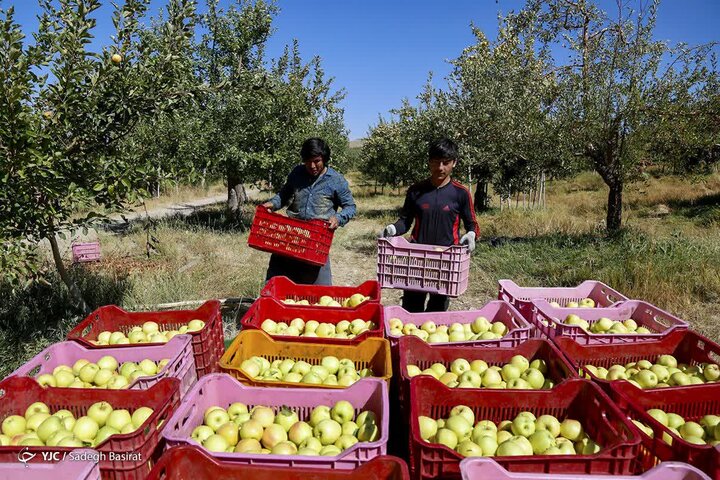 سمیرم در بخش کشاورزی و گردشگری سرآمد است