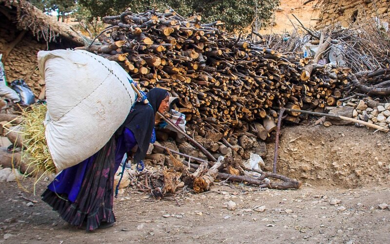 محافظت از زاگرس با شبکه گازرسانی، تلاش برای حفظ ریههای سبز ایران