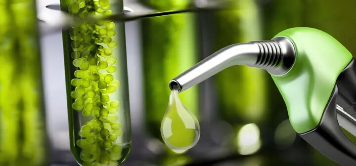 سوخت‌های سبز؛ کلید انرژی فردا