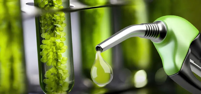 کدام کشورهای اروپایی سبزترین حمل و نقل را دارند؟