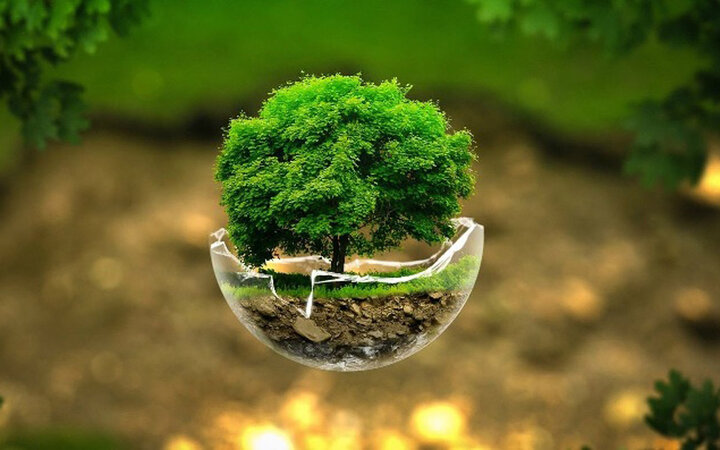 اجرای طرح «محیطیار» برای ارتقای سواد محیط زیستی دانشآموزان ابتدایی