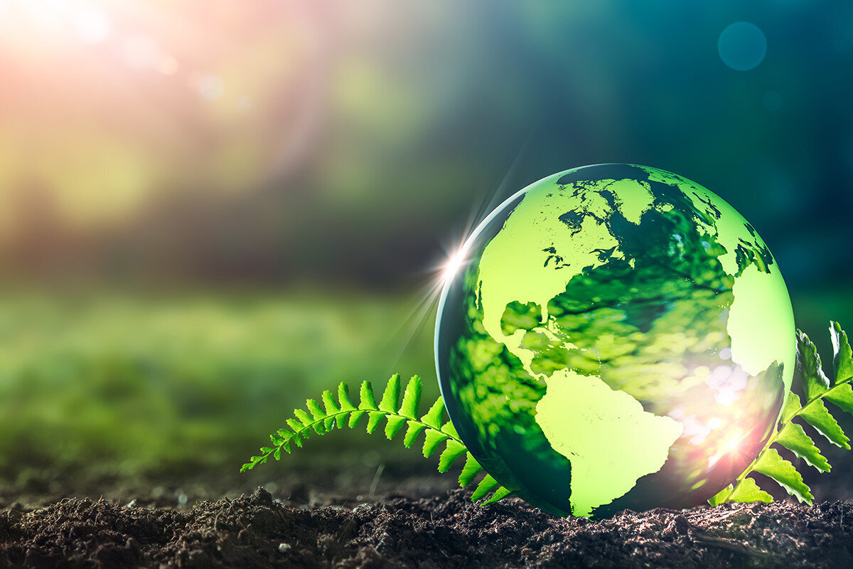 روایتی از انقراض گونههای گیاهی؛ جنگی نابرابر برای بقا