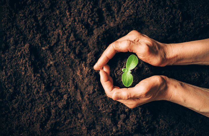 روایتی از انقراض گونههای گیاهی؛ جنگی نابرابر برای بقا