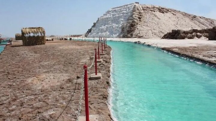 حضور خوروبیابانک در نمایشگاه‌های گردشگری ملی به افزایش تورهای گردشگری کمک می‌کند