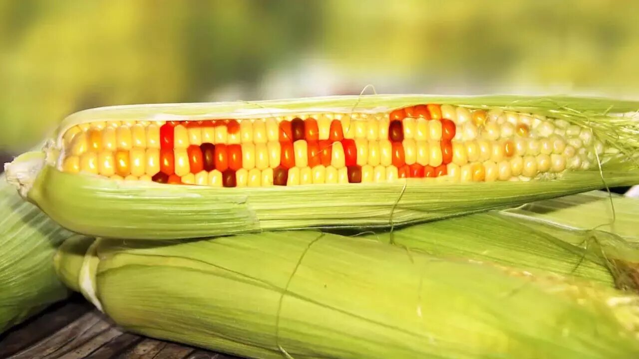 انقلابی در کشاورزی یا تهدیدی برای سلامتی