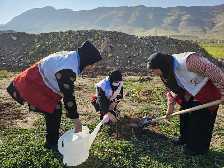 کاشت ۲۰۰ هزار اصله نهال توسط هلال‌احمر کرمانشاه