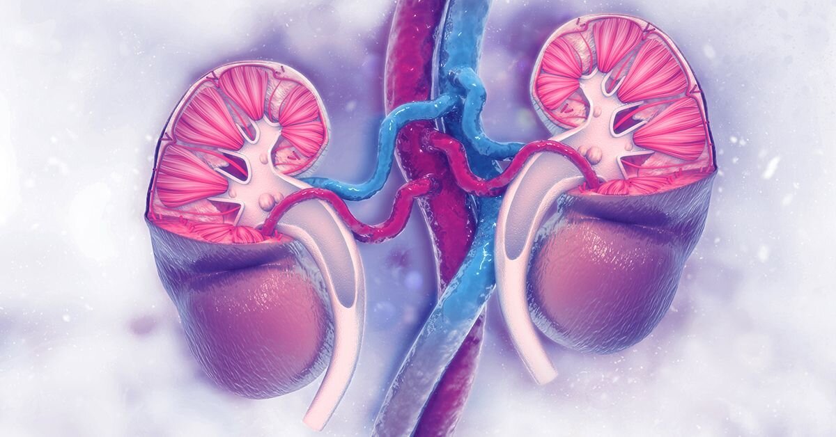 تغذیه؛ بازیگر پنهان در مبارزه با سرطان کلیه