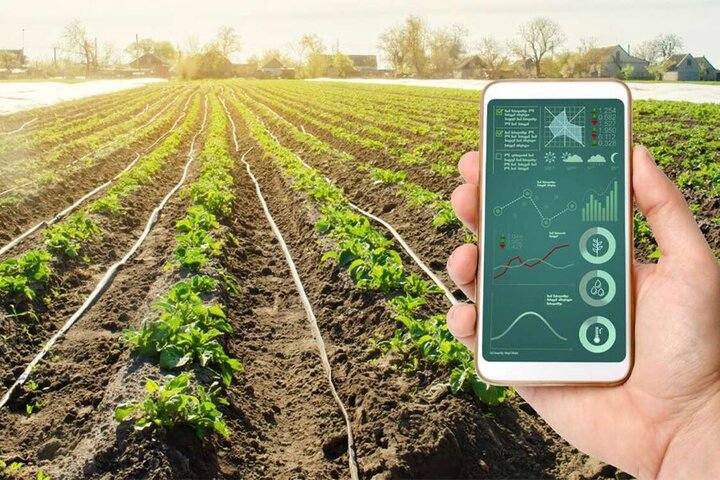 هوشمندسازی زنجیرههای تولید، اولویت اصلی بخش کشاورزی