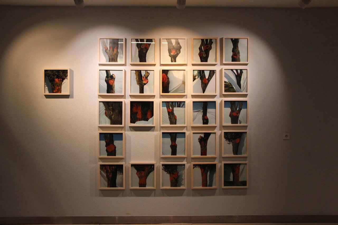 تجلی هنر معاصر و دغدغههای هنرمندان در نمایشگاه «سرزمین من» کرمان