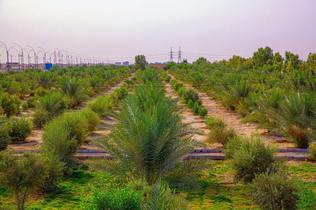 کمربند سبز اهواز؛ امیدی برای آیندهای پایدار