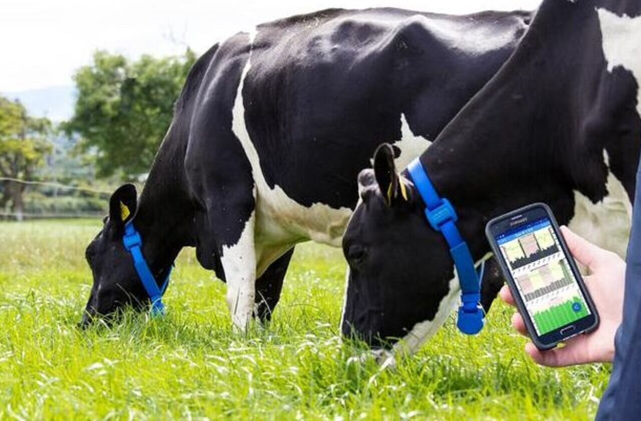 از ورود موفق هوش مصنوعی برای افزایش بهرهوری در دامداری تا درخشش دانشجویان در تکواندو 2 از ورود موفق هوش مصنوعی برای افزایش بهرهوری در دامداری تا درخشش دانشجویان در تکواندو