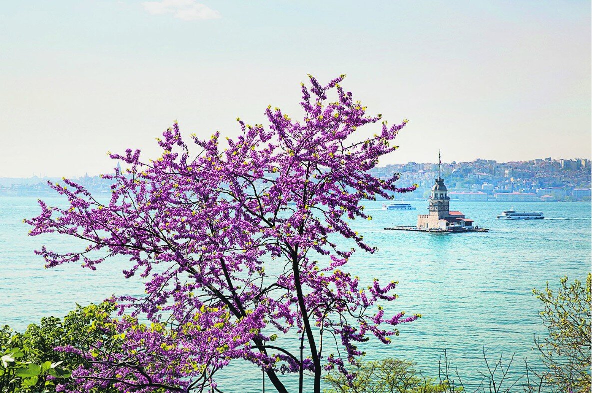 بهار در استانبول؛ آب و هوای استانبول در نوروز