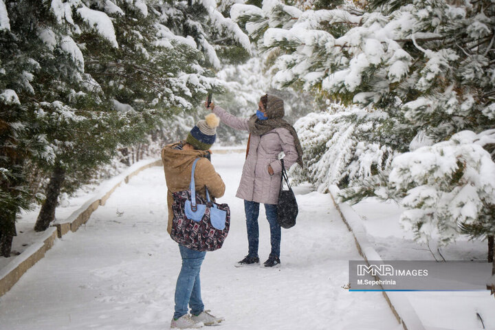 بارش برف در تبریز